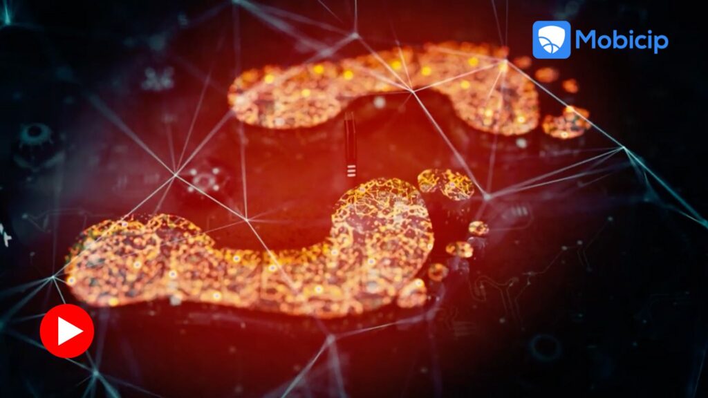 Video Vault: Digital Footprints Don’t Fade